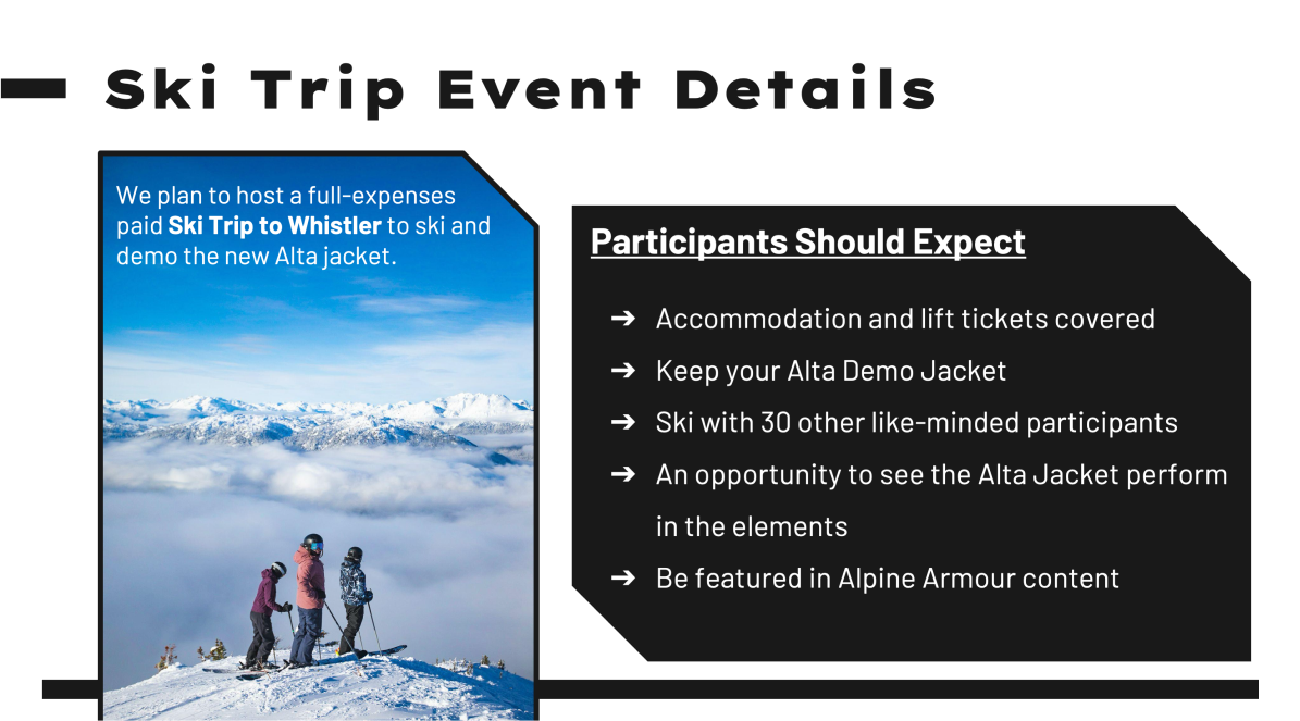 Alpine Armour Project - Artifact Image